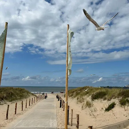 Plevier Comfort-3 By Interhome Üdülőpark Noordwijkerhout