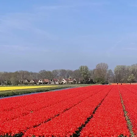 Plevier Comfort-3 By Interhome Üdülőpark