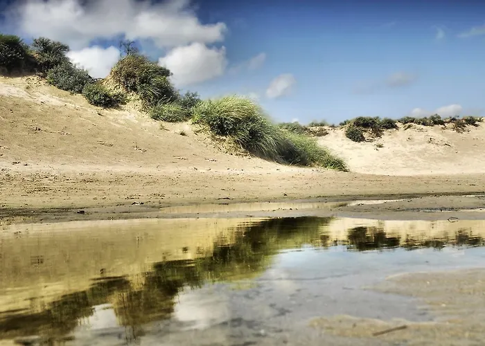 Plevier Comfort-3 By Interhome 假日公园 诺德克豪特