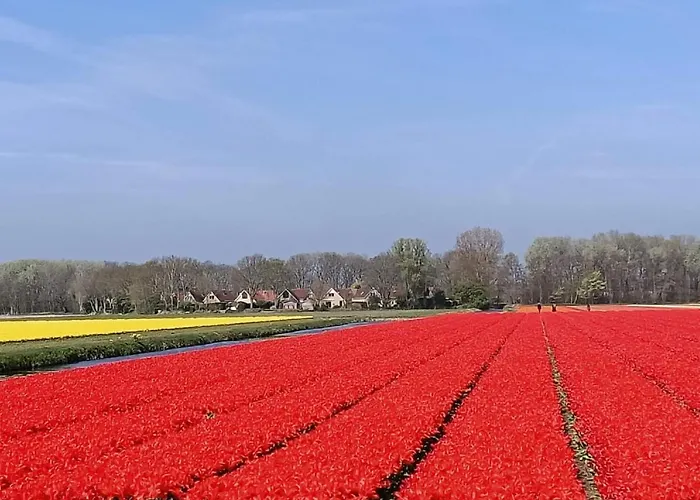 Plevier Comfort-3 By Interhome Üdülőpark